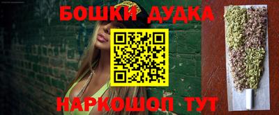 стафф Ставрополь